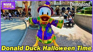 Donald Duck Meet and Greet in NEW Halloween Costume at Disneyland - Halloween Time 2024