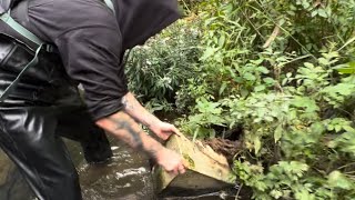 We found a safe in the Manchester river !