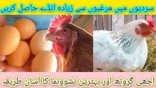 how to care about aur chicken in winter season|| control prevention and treatment of disease||Drasif