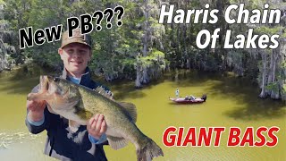 Unlocking the Monster: Catching GIANT bass on the Harris Chain! (new PB)