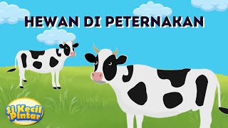 Belajar Hewan di Peternakan | Nama-nama hewan | Belajar untuk PAUD, TK dan Balita | Sapi Kambing Dll