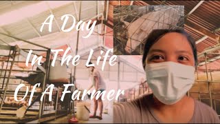 Life Inside The Piggery Farm | Carla Rose Vlogs