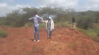 POTATO BUSINESS AND PARTNERSHIP: WE VISITED A FARM IN KAJIADO COUNTY