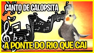 Canto de Calopsita - A Ponte do Rio Que Cai