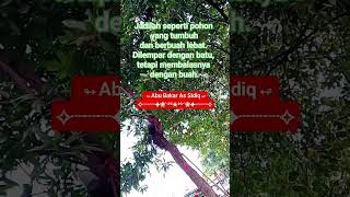 Jadilah Seperti Pohon #katamutiara #shortvideo