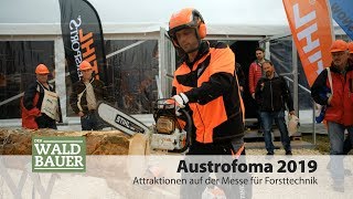 Austrofoma 2019 – Teil 2