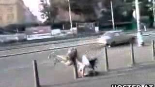 CRAZY VIDEO  funny stupid 24 Colleccted BY M Rashid Siddiqi evergreenpeople@yahoo com