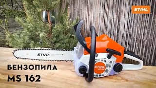 Огляд Бензопили STIHL MS 162 | Офіційний дилер STIHL у Харкові | "Добрий Господар"