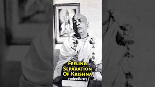 Feeling Separation Of Krishna - Prabhupada 0550