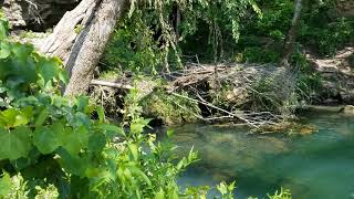 The Blue Springs cave on the Jack's Fork of the Current river, Shannon County, Missouri.