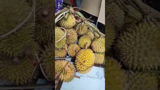 Durian duri kuning