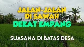 JALAN-JALAN DI SAWAH DEKAT EMPANG - Suasana Di Batas Desa