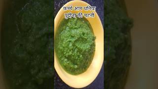 कच्चे आम धनिया पुदीना की चटपटी चटनी #cooking #chutney#shorts #rsannapurnakitchen