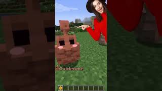 AMIGOS Y ENEMIGOS // Mods de MINECRAFT en 15 segundos