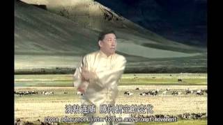 Chen Xiao Wang Complete Chen Taijiquan Collection 33DVDs - Serie 7: Single Sword