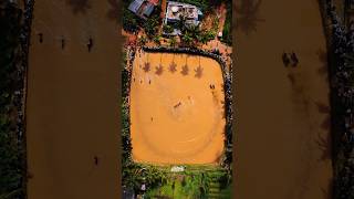 Bull Racing Drone View 😍🔥 ( Kaalapoottu Sky View ) / Drone Bossco 🚁 #shorts #dronevideo #kerala