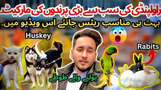 Rawalpindi Birds Market 🔥|| college road rawalpindi #viral #trending