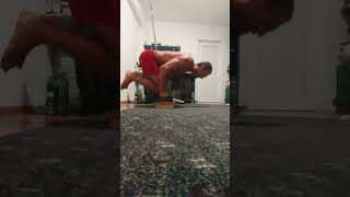 Assisted Planche Pushups