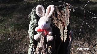 OSTERHASE MIT ZÜNDSCHNUR | HAPPY EASTER BOOM