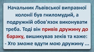 💠Гниломудний Начальник Колонії! Українські Анекдоти та Українською! Епізод #355