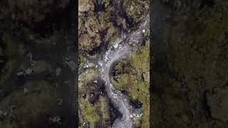 Bleaklow Bomber crash site