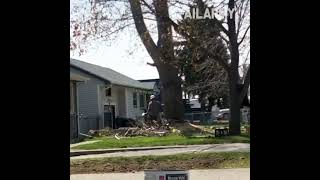 They now have a leaky roof 🤣 #FailArmy #treefalling #treefails #rooftopviews #roofingcontractor