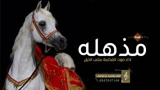 اجمل شيله رقص حماسيه  2024  المذهله اداء صوت الفخامة متعب الخيل