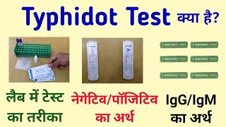 टायफीडॉट टेस्ट क्या है? Typhidot test || Typhidot igm positive means