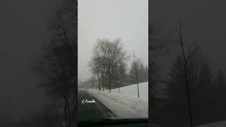 Morning with Fog in Markham Canada | Foggy Scene during Drive | 24th January 2024 | #Shorts