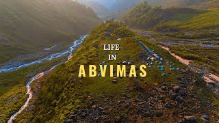 LIFE IN ABVIMAS | BMC | 2024 | 368