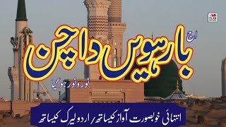 Barvin Da Chan | Urdu Layrics Naat | Rabi Ul Awal 2024 | Usman Qadri | I Love Islam Naat layrics |