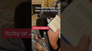 Kitty want to read...