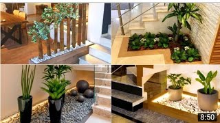 Office and home plants that you can never go wrong/in plants