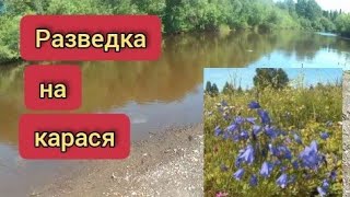 Разведка на карася (2 часть)