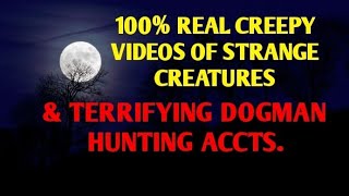 #DOGMAN, 100% REAL CREEPY VIDEOS OF STRANGE CREATURES & TERRIFYING DOGMAN HUNTING ACCTS.