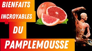 Les Bienfaits Surprenants du Pamplemousse pour Votre Santé ! 🍊