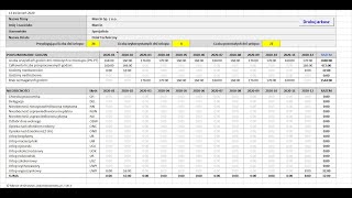 Roczna Ewidencja czasu pracy w Excel - prezentacja pliku