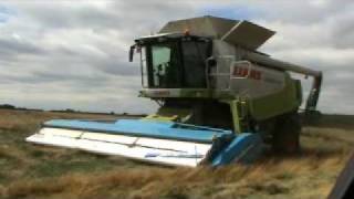 Shelbourne RSD Stripper Header Harvesting Grass Seed