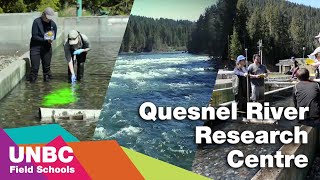 Field Schools at the Quesnel River Research Centre