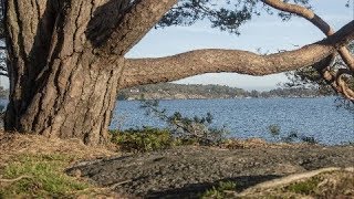 Timelapse in Groos Park with Grip Gear Slider