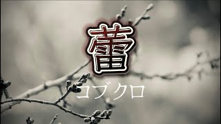 コブクロ『蕾』【歌詞動画】