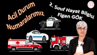 ACİL NUMARALARIMIZ - 2. SINIF HAYAT BİLGİSİ - EĞİTİM TOKAT TV