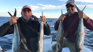 Spanish Mackerel.. Bite On!