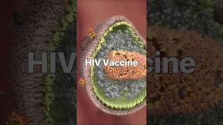 The Elusive HIV Vaccine: Why Science Isn't Enough