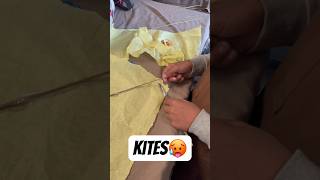 Kites lovers like karo 😍🔥🥵 #trending #viral #shorts #funny #kite