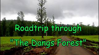 Ahwa Dang Teak Forests Roadtrip - Saputara ,Gujarat