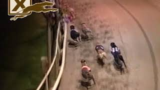 Dogs racing round #67