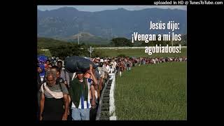 Homilía Dominical 09 de Julio 2023 - Jesús dijo: ¡Vengan a mi los agobiados! - P. Manuel Maza, sj