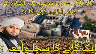 Aik Qatil Hazrat Musa (A.S) Ka Pass Aya Or Kahna Laga?? l Aik Ghahay ka Waqia l Ajmal Raza Qadri