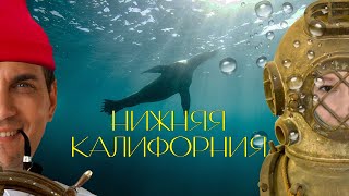 Баха Калифорния самостоятельно. Свидание с китами